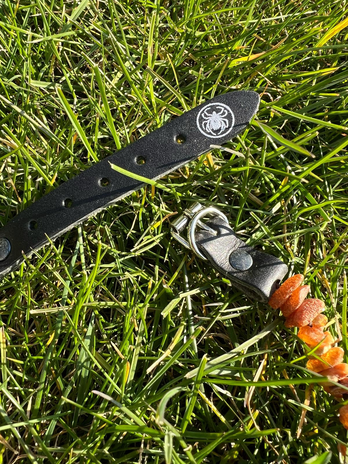Dog collar 20 cm