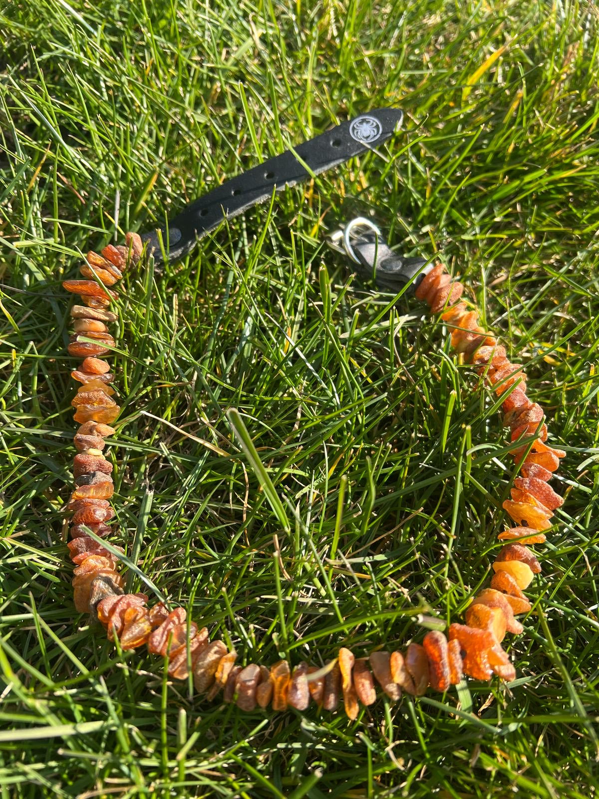 Dog collar 65 cm