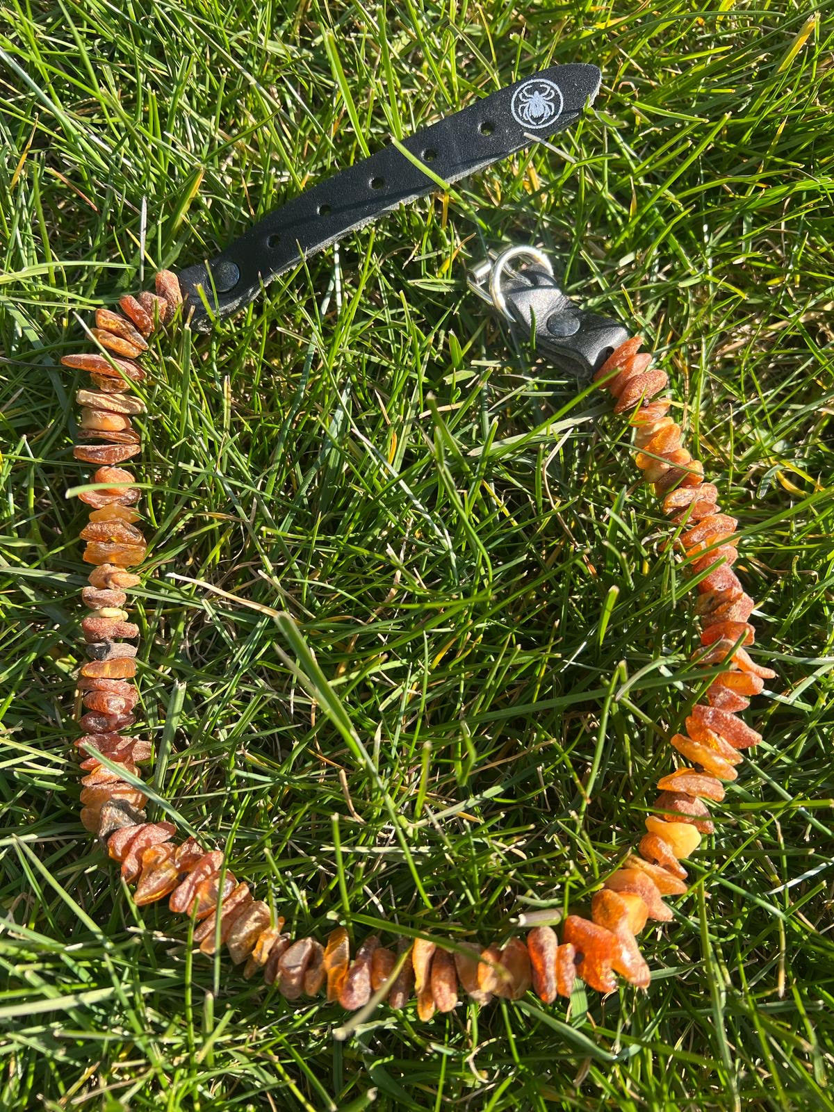 Dog collar 25 cm